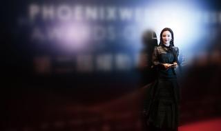 许佳慧预谋 许佳慧预谋